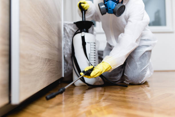 Best Pest Removal Services  in Schler Park, IL