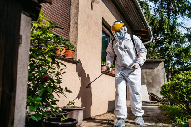 Best Mosquito Control Services  in Schler Park, IL