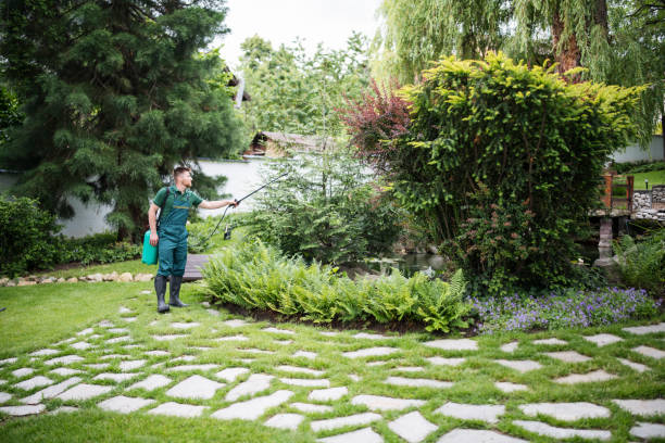 Best Pest Removal Services  in Schler Park, IL