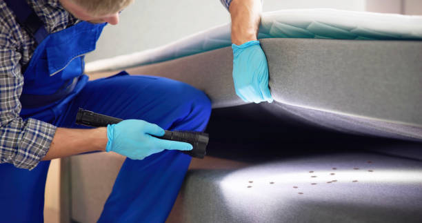 Trusted Schiller Park, IL Pest Control Experts