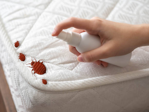 Best Cockroach Control Services  in Schler Park, IL