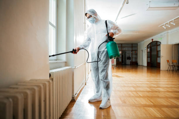 Best Bed Bug Extermination  in Schler Park, IL