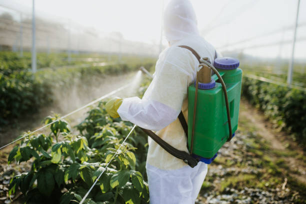 Best Ant Control Services  in Schler Park, IL
